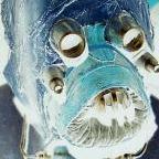 ArkArk