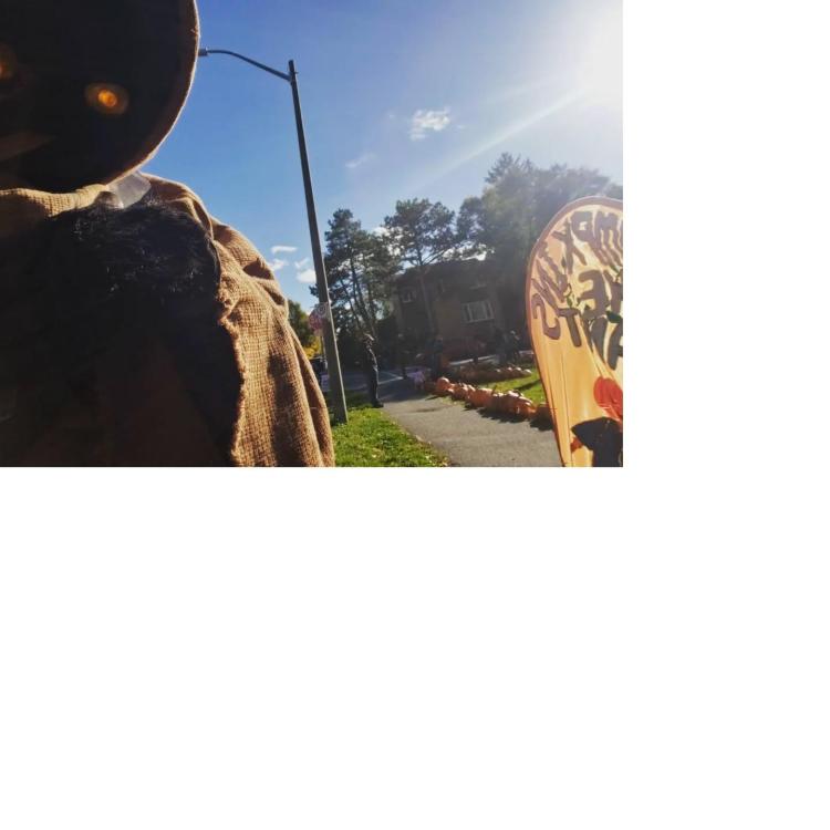 pumpkintroopsolo.jpg