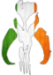 IrishFett